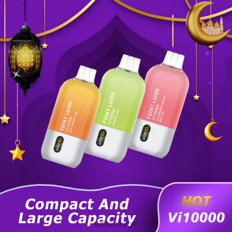 ELFBAR funky lands engangs vape vi10000 puffs blåbær rose mynte X4424163